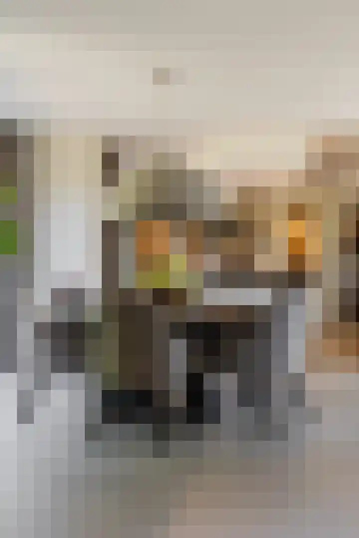 Leeuweriklaan 9 Dongen thumbnail 22