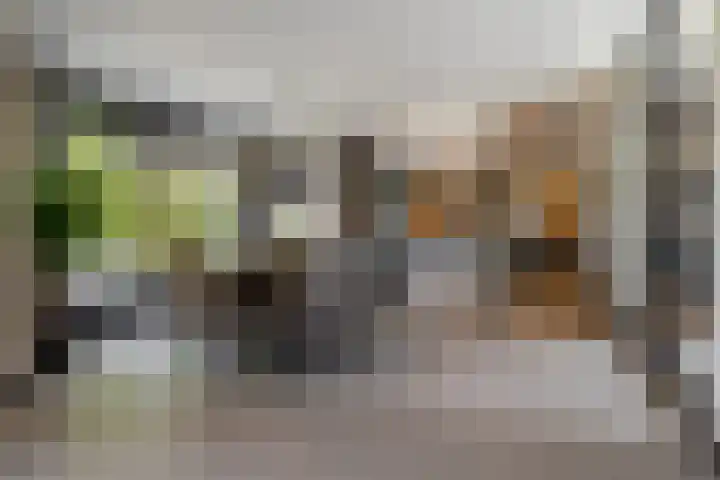 Leeuweriklaan 9 Dongen thumbnail 23