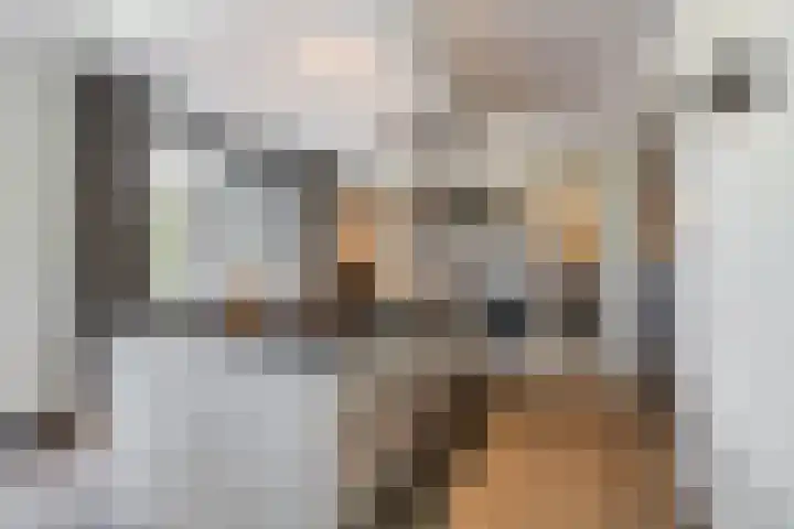 Leeuweriklaan 9 Dongen thumbnail 24