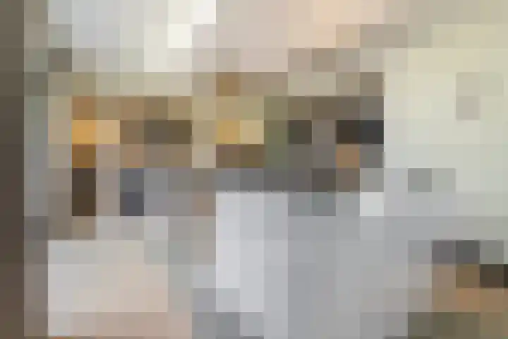 Leeuweriklaan 9 Dongen thumbnail 25