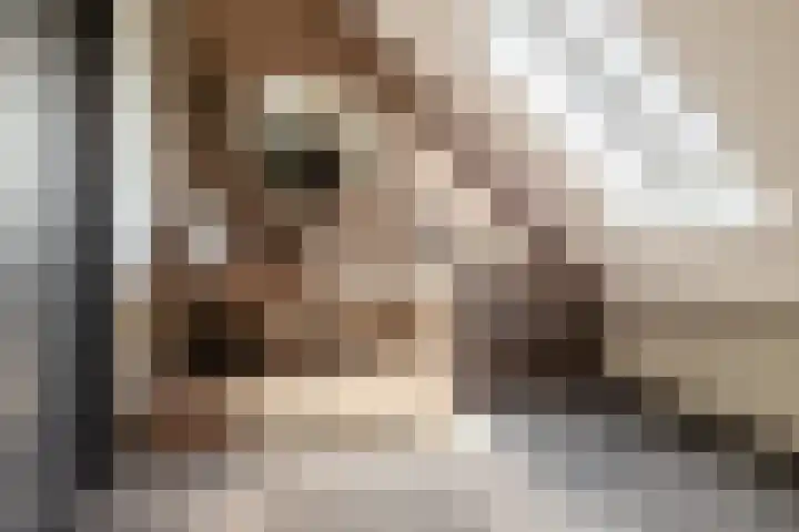 Leeuweriklaan 9 Dongen thumbnail 31