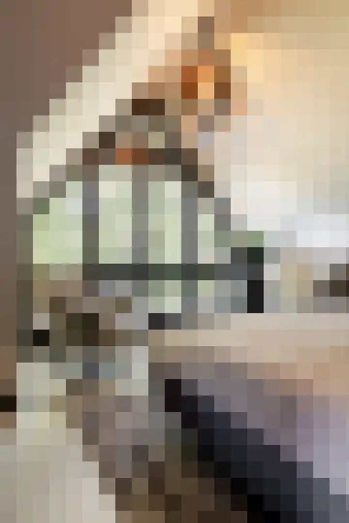 Leeuweriklaan 9 Dongen thumbnail 33
