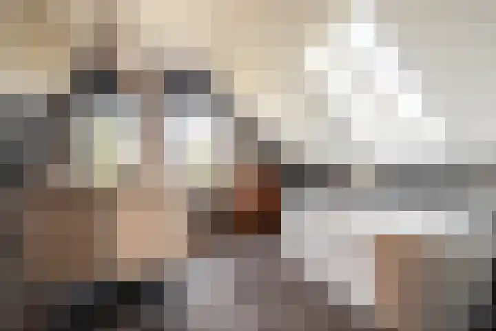 Leeuweriklaan 9 Dongen thumbnail 34