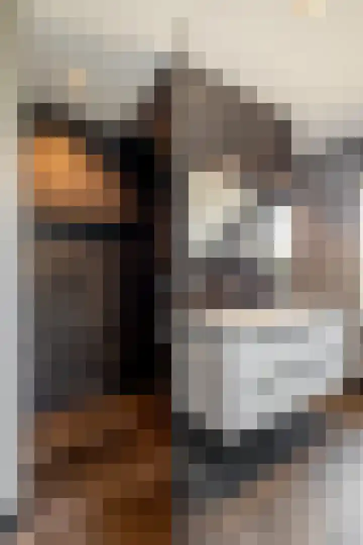 Leeuweriklaan 9 Dongen thumbnail 36
