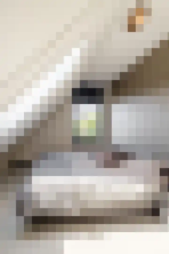 Leeuweriklaan 9 Dongen thumbnail 39