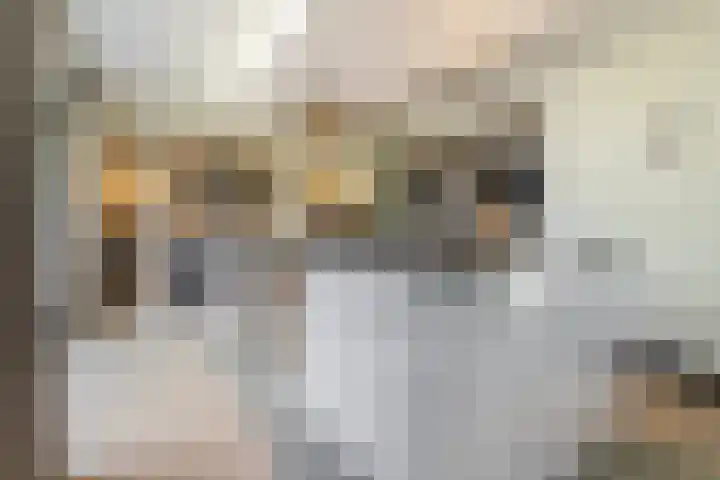 Leeuweriklaan 9 Dongen thumbnail 4