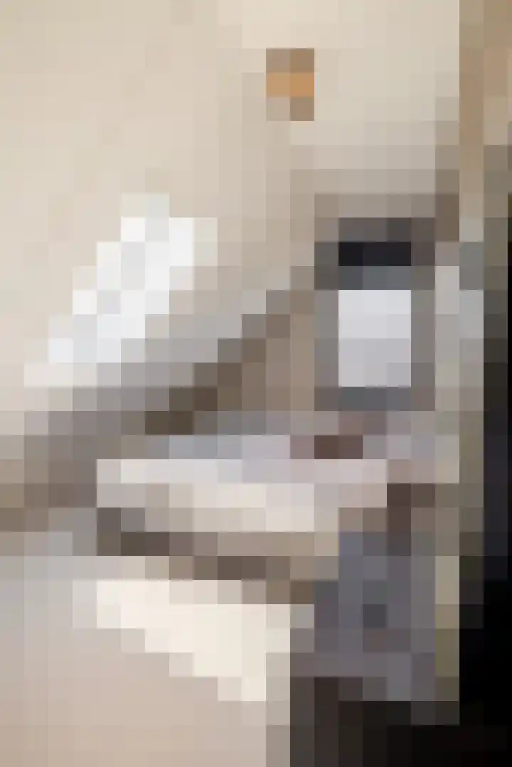 Leeuweriklaan 9 Dongen thumbnail 40