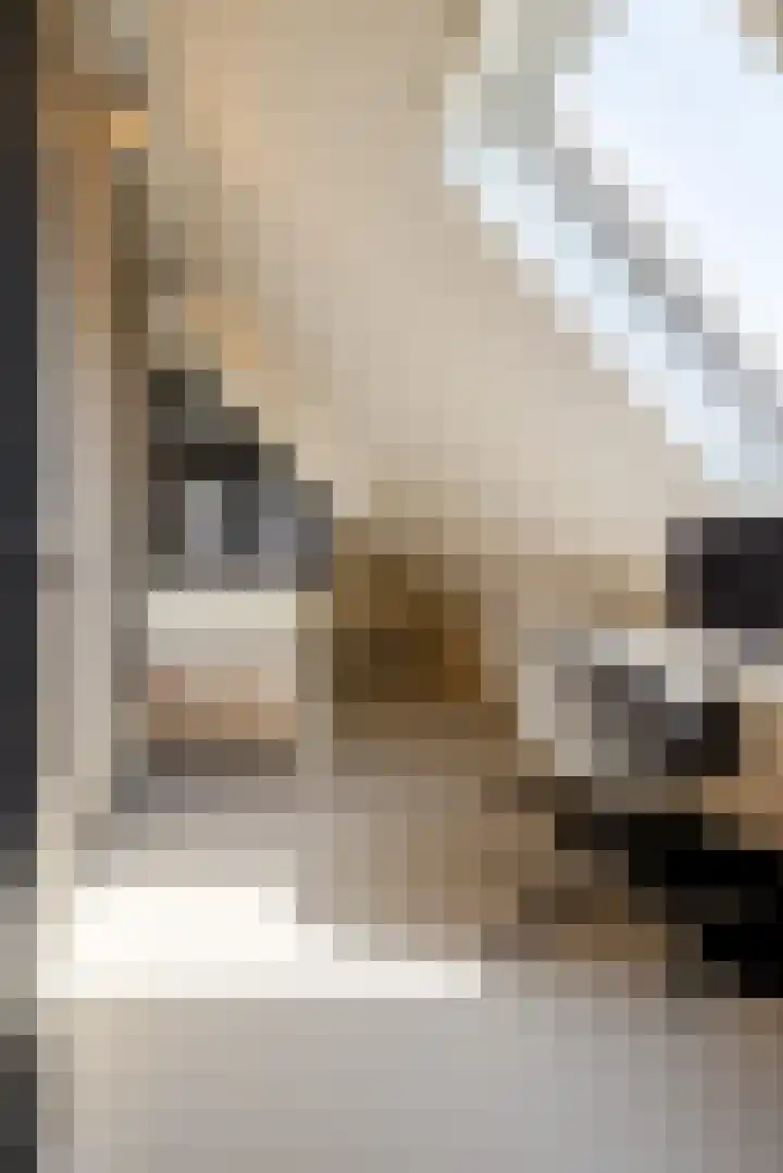 Leeuweriklaan 9 Dongen thumbnail 41