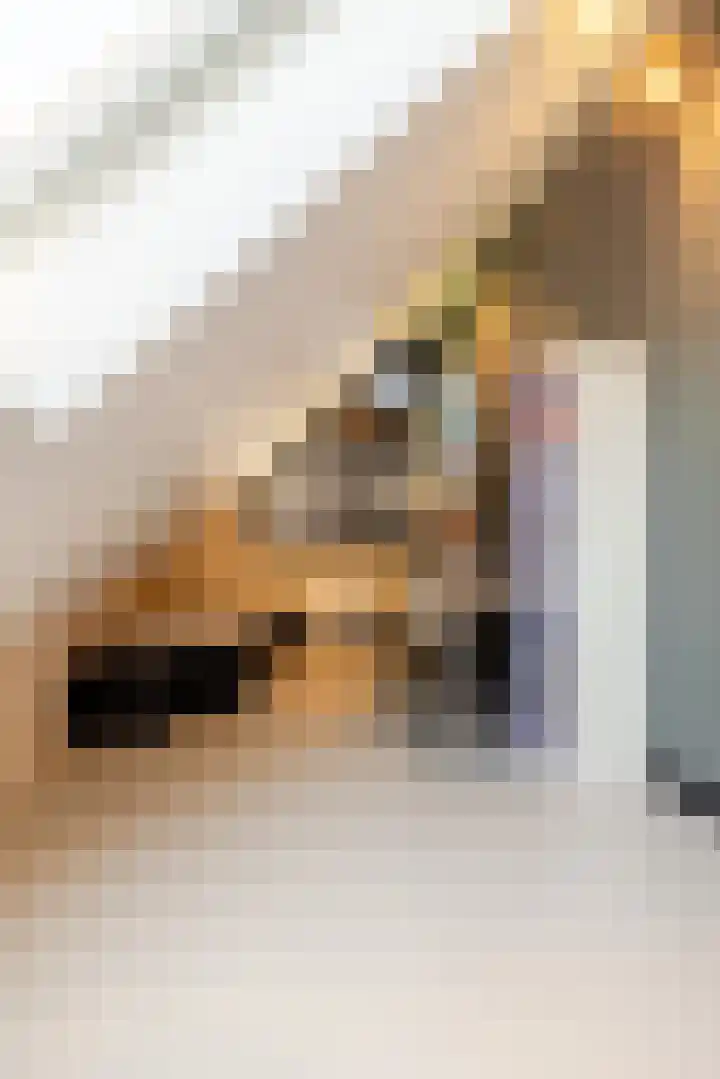 Leeuweriklaan 9 Dongen thumbnail 42