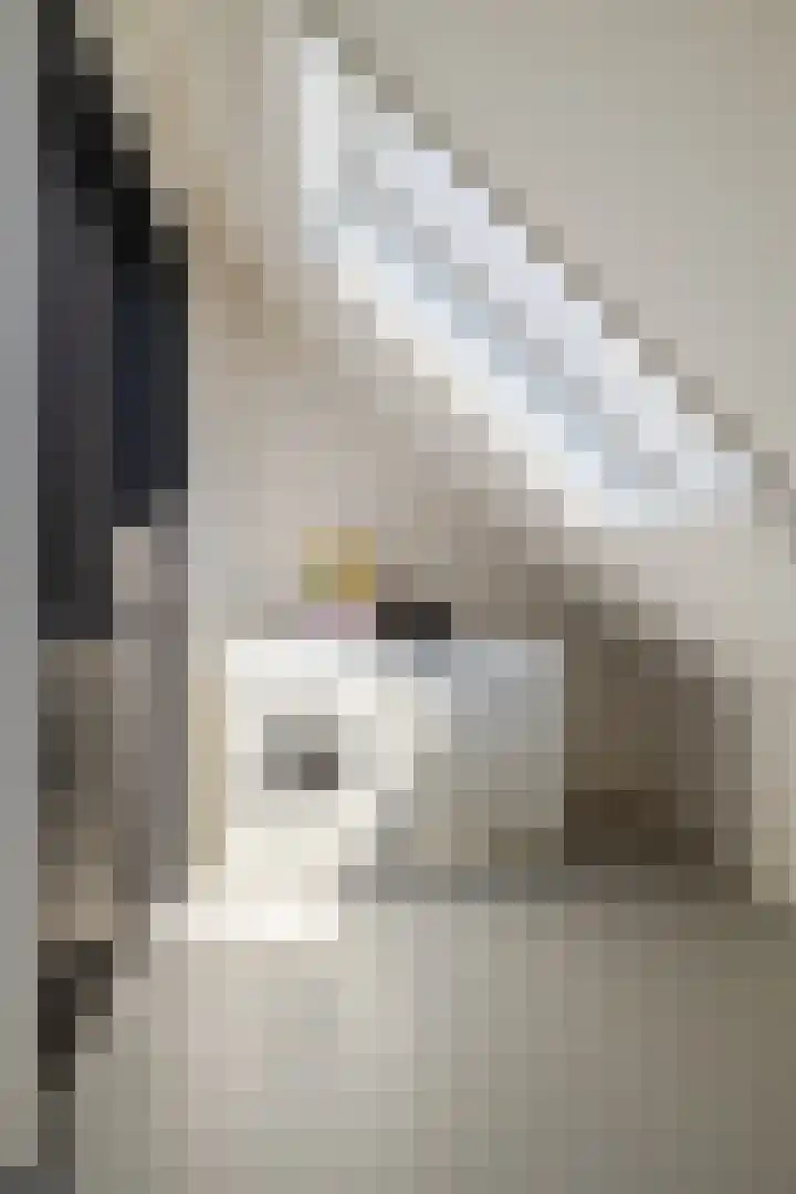 Leeuweriklaan 9 Dongen thumbnail 43