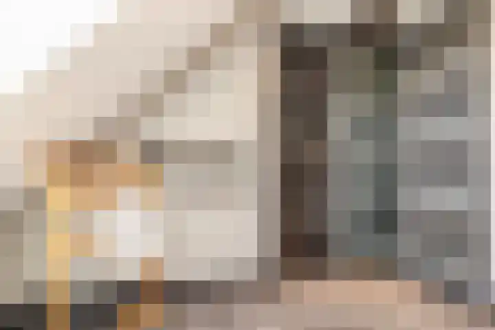 Leeuweriklaan 9 Dongen thumbnail 44