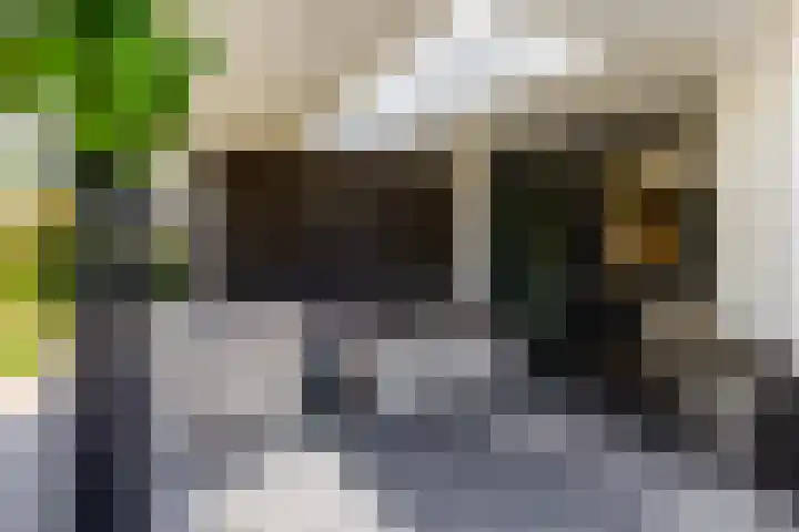 Leeuweriklaan 9 Dongen thumbnail 47