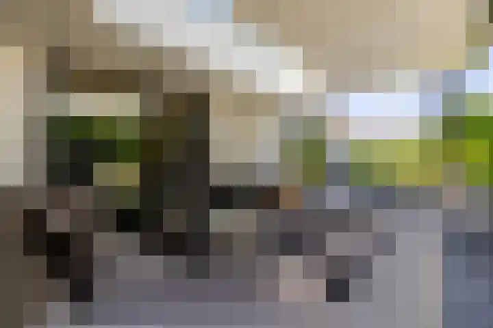 Leeuweriklaan 9 Dongen thumbnail 48