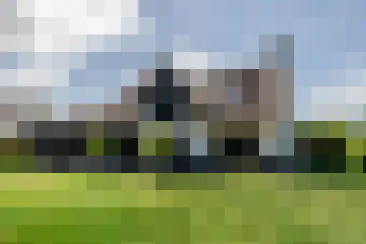 Leeuweriklaan 9 Dongen thumbnail 49