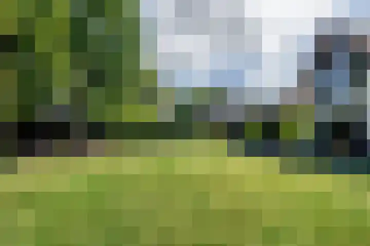 Leeuweriklaan 9 Dongen thumbnail 50