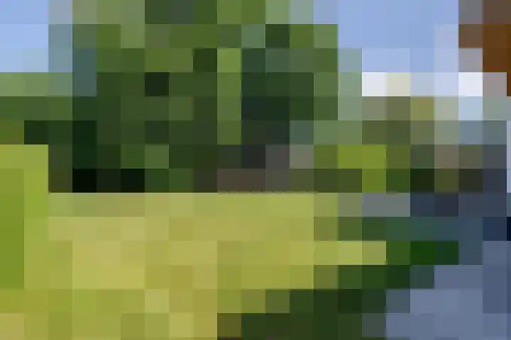 Leeuweriklaan 9 Dongen thumbnail 51