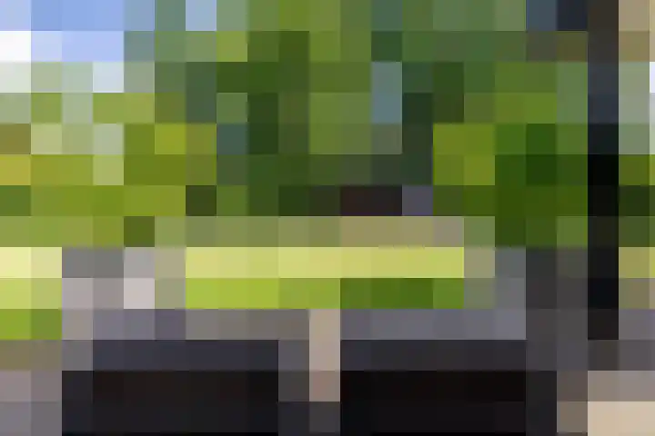 Leeuweriklaan 9 Dongen thumbnail 52