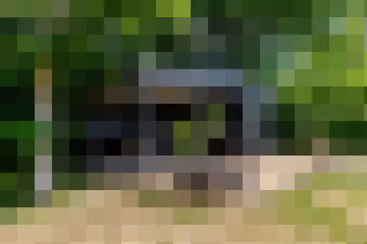 Leeuweriklaan 9 Dongen thumbnail 53