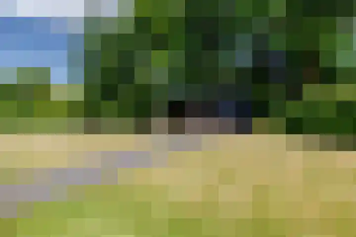 Leeuweriklaan 9 Dongen thumbnail 54