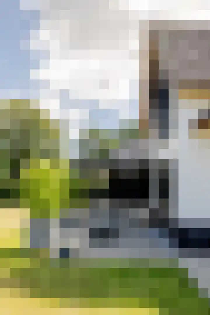 Leeuweriklaan 9 Dongen thumbnail 56