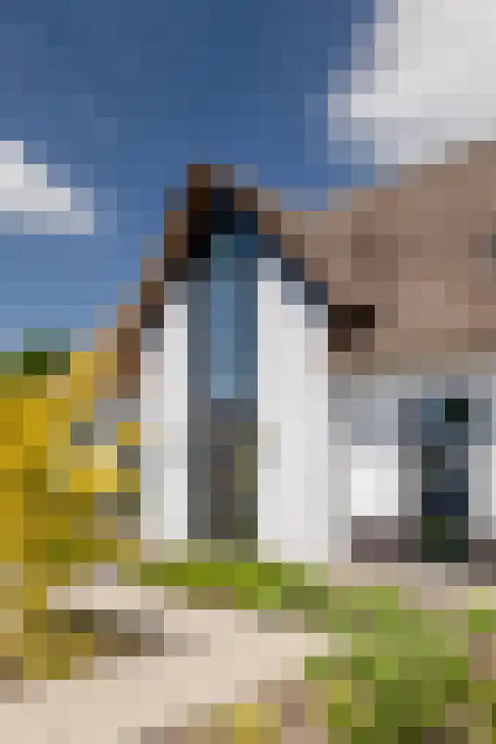 Leeuweriklaan 9 Dongen thumbnail 63