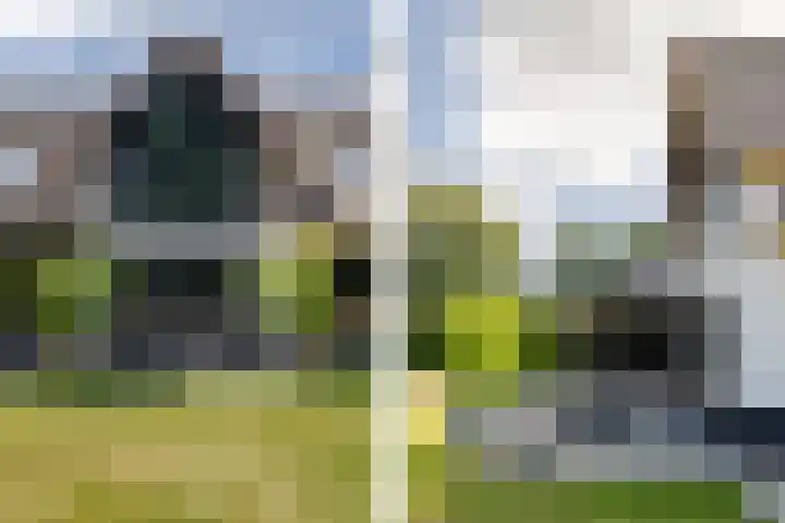 Leeuweriklaan 9 Dongen thumbnail 64