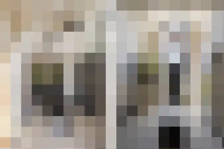 Leeuweriklaan 9 Dongen thumbnail 66