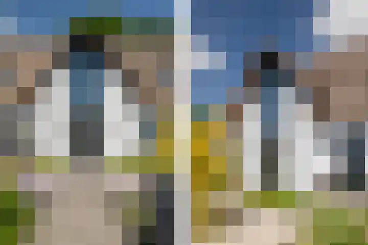 Leeuweriklaan 9 Dongen thumbnail 68