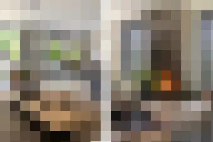 Leeuweriklaan 9 Dongen thumbnail 69