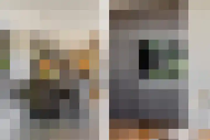 Leeuweriklaan 9 Dongen thumbnail 70