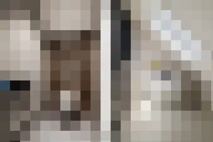 Leeuweriklaan 9 Dongen thumbnail 74