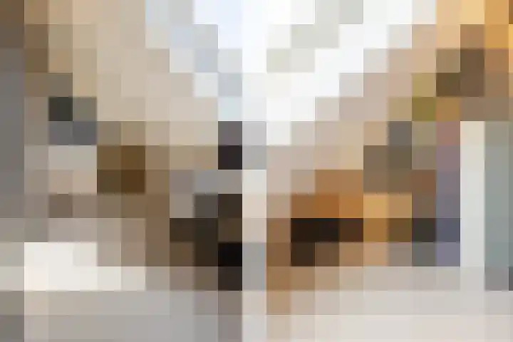 Leeuweriklaan 9 Dongen thumbnail 75