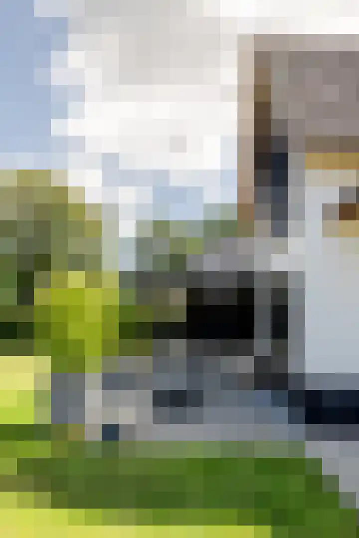 Leeuweriklaan 9 Dongen thumbnail 76