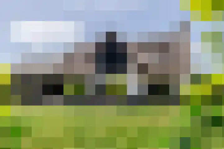 Leeuweriklaan 9 Dongen thumbnail 81