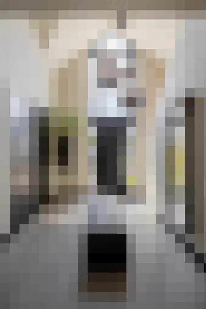Leeuweriklaan 9 Dongen thumbnail 9