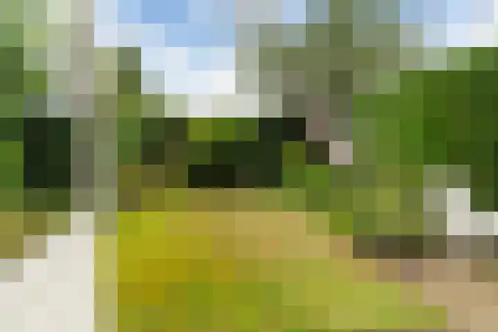 Leeuweriklaan 9 Rotterdam thumbnail 11
