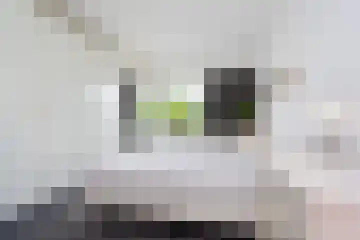 Leeuweriklaan 9 Rotterdam thumbnail 12