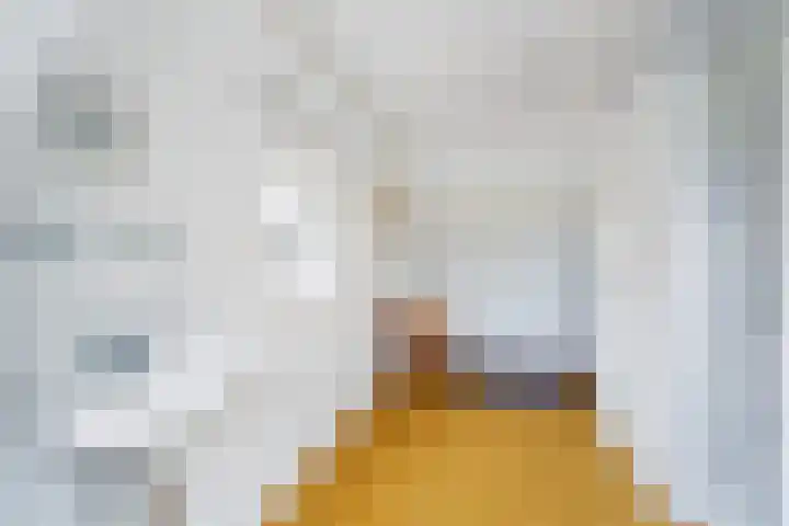 Leeuweriklaan 9 Rotterdam thumbnail 19