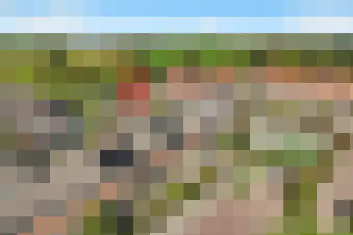 Leeuweriklaan 9 't Veld