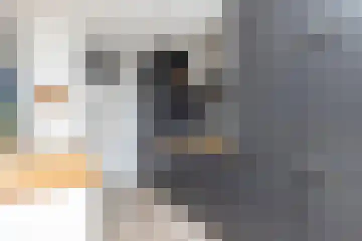 Leeuweriklaan 9 't Veld thumbnail 11