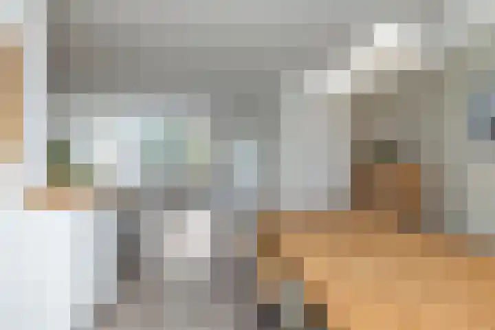 Leeuweriklaan 9 't Veld thumbnail 12