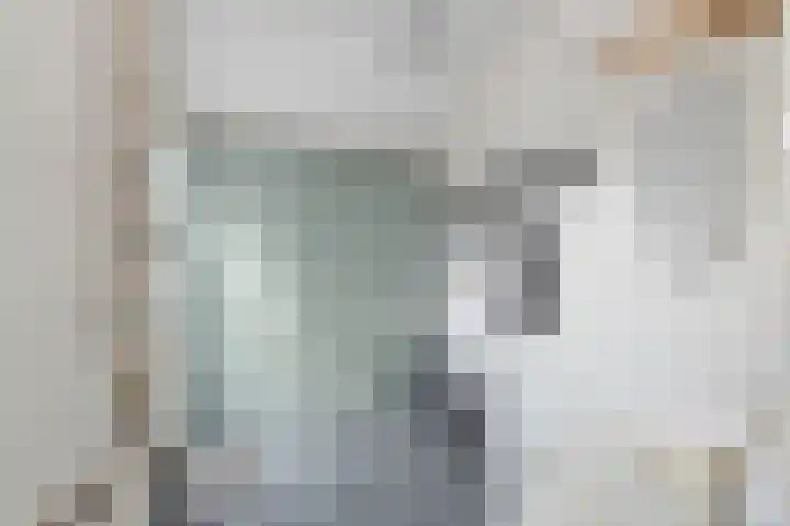 Leeuweriklaan 9 't Veld thumbnail 13