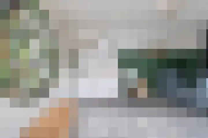 Leeuweriklaan 9 't Veld thumbnail 17