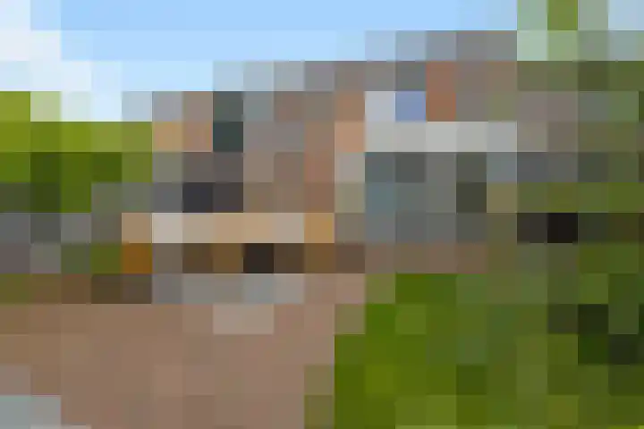 Leeuweriklaan 9 't Veld foto 2