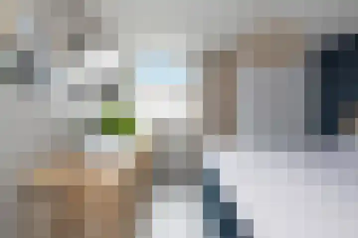 Leeuweriklaan 9 't Veld thumbnail 21