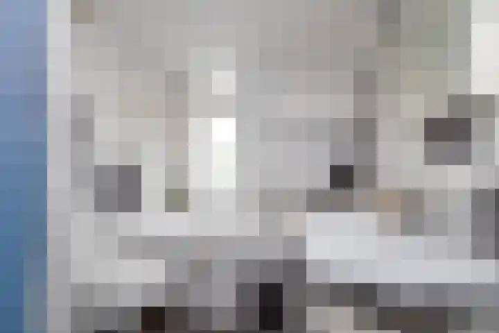 Leeuweriklaan 9 't Veld thumbnail 23