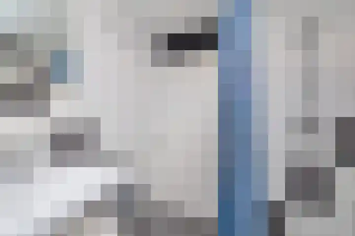 Leeuweriklaan 9 't Veld thumbnail 24