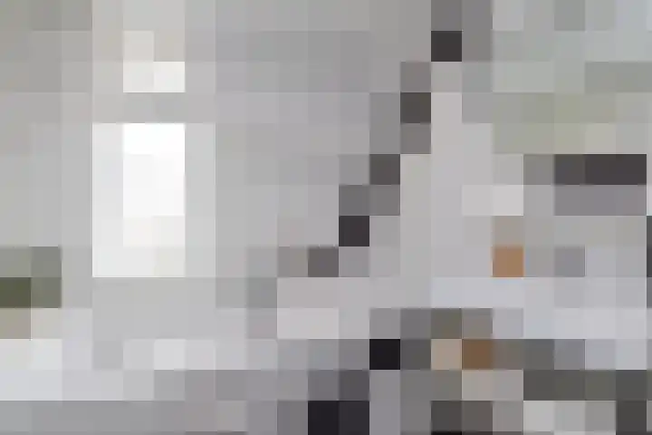 Leeuweriklaan 9 't Veld thumbnail 25