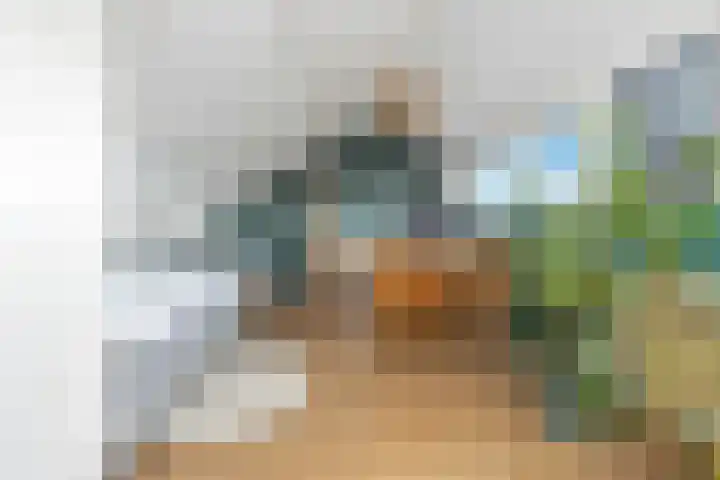 Leeuweriklaan 9 't Veld thumbnail 26