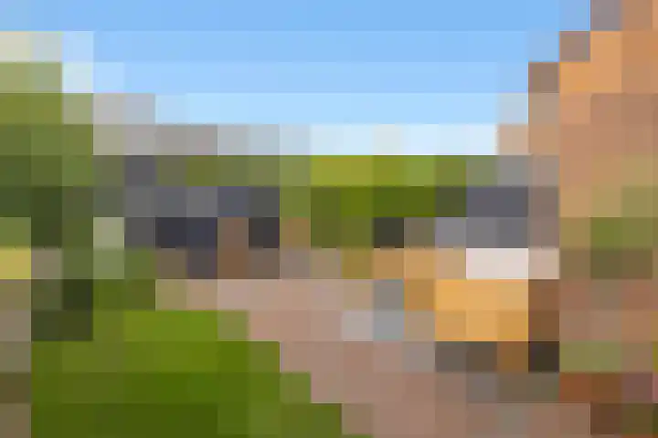 Leeuweriklaan 9 't Veld thumbnail 32